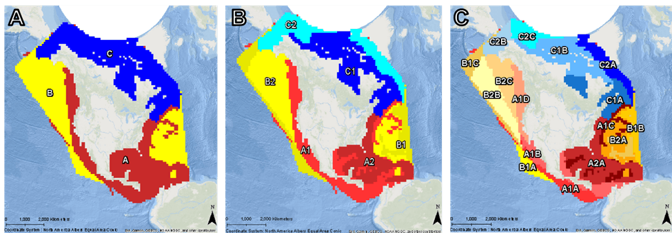 GIS portfolio example - geospatial mapping project